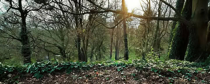Vibration consciente — Mucklagh Lodge