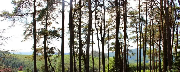 Retour à Mucklagh - Samhain — Mucklagh Lodge