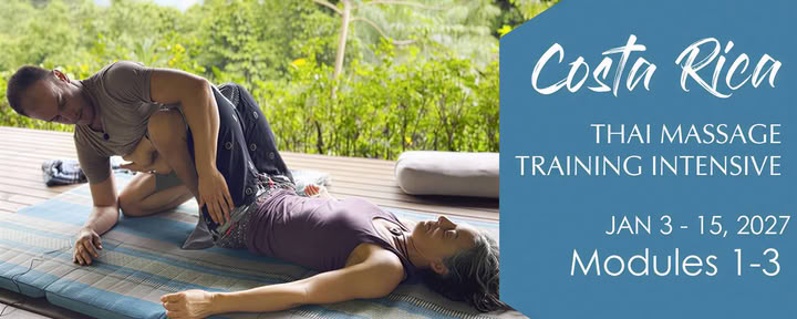 Formation intensive de certification principale Navina 2027