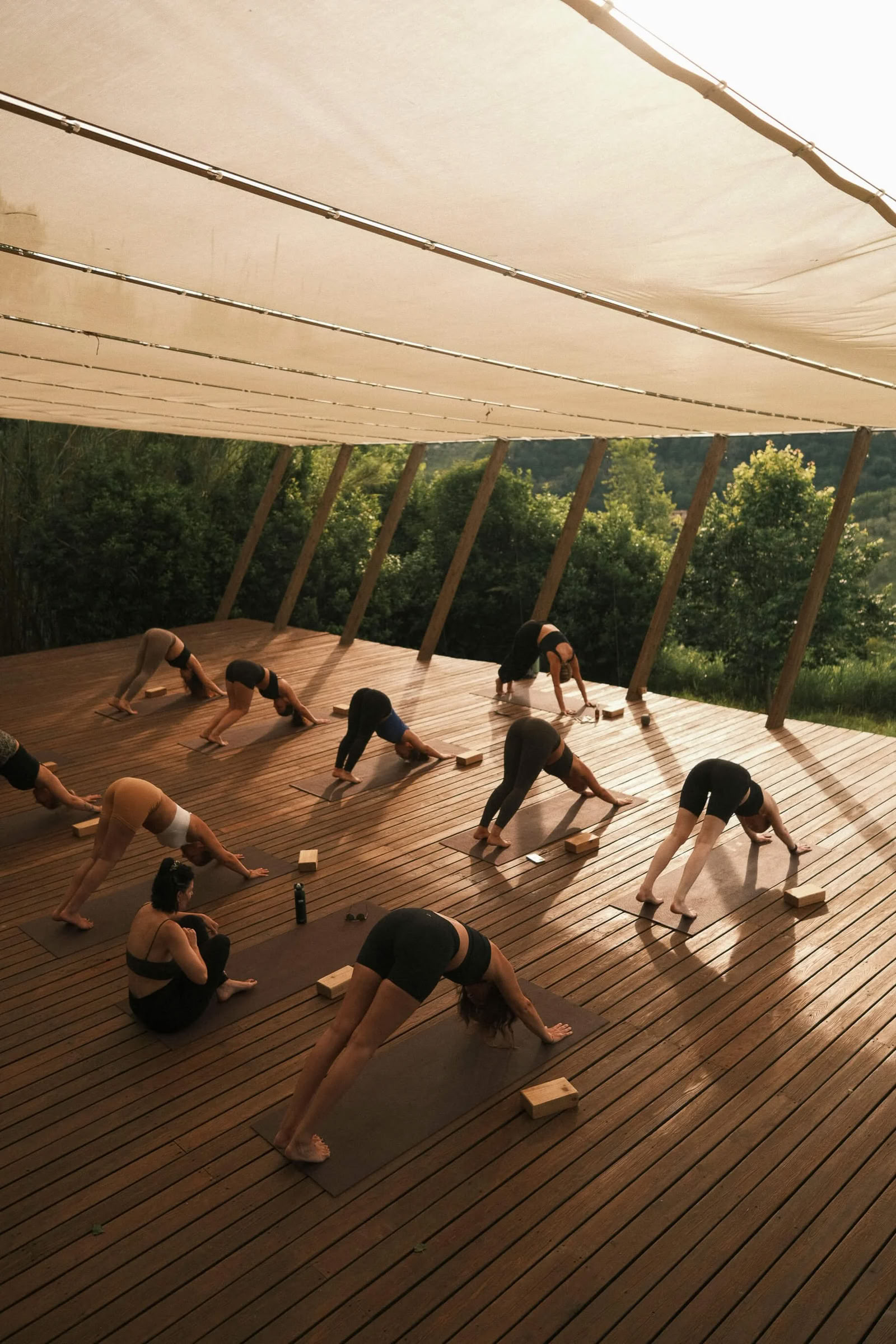 Retraite de yoga Vinyasa Éclat intérieur