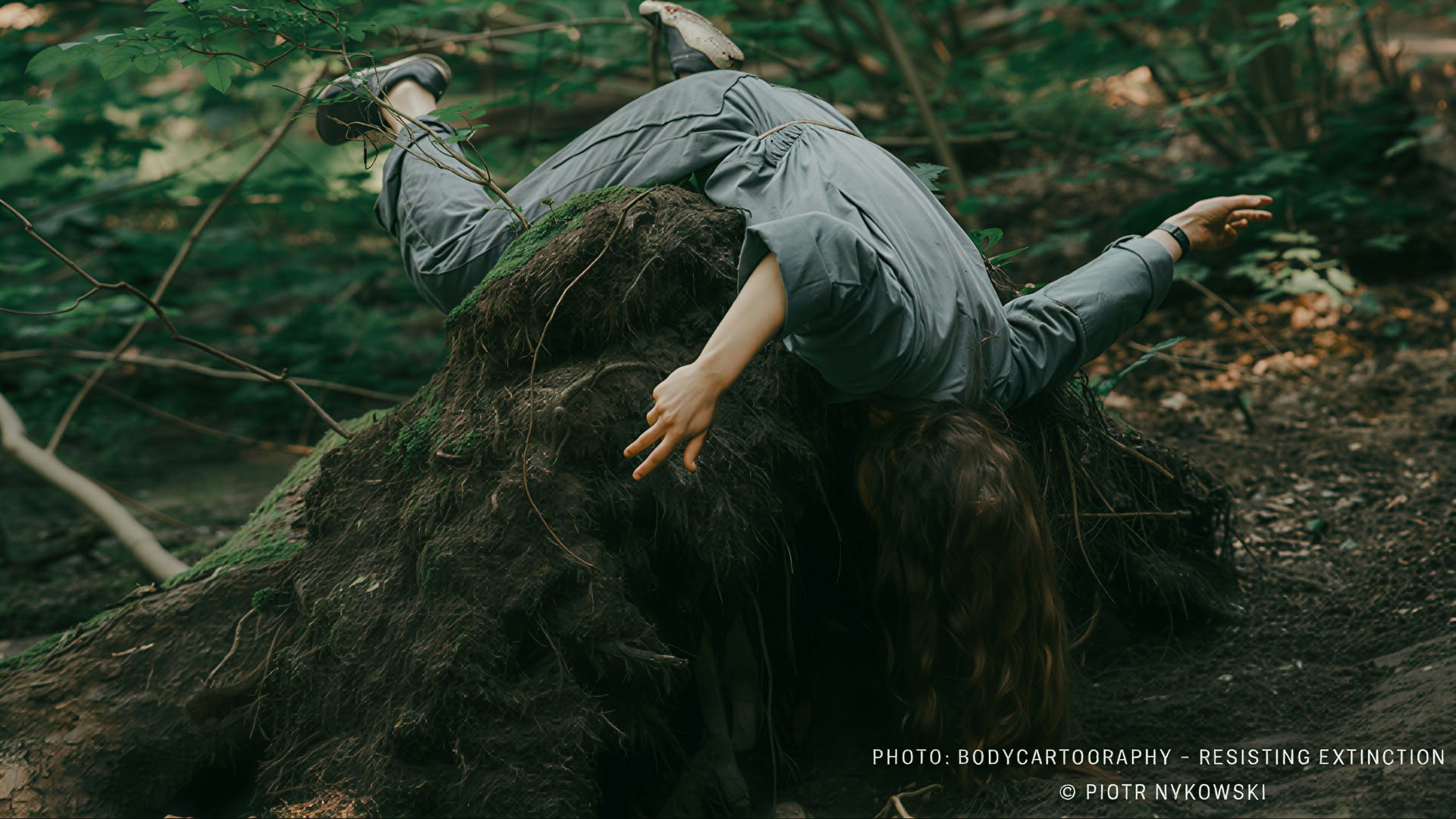 Formation intensive d’improvisation dansée de fin d’été sauvage