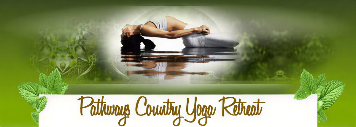 Formation de professeurs de Yoga Nidra de 100 heures