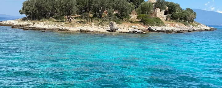 Récolte joyeuse des olives