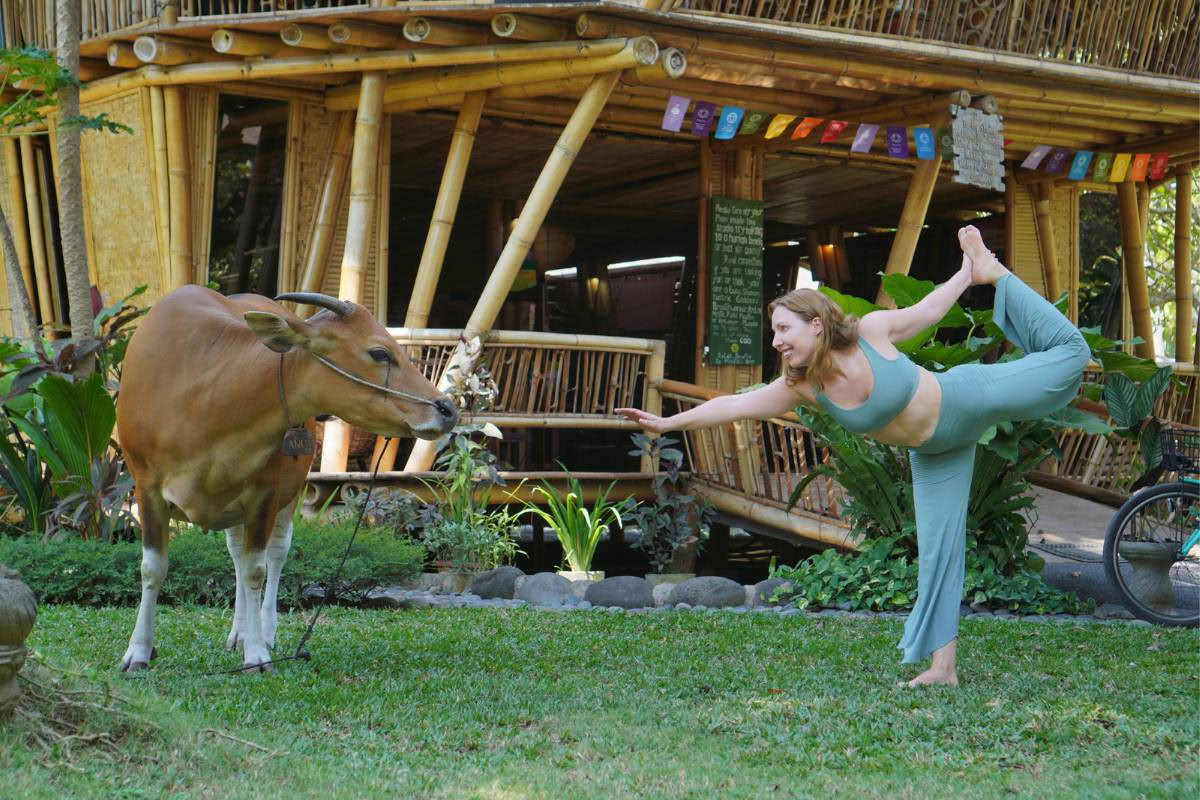 Formation de professeur de yoga de 200 heures