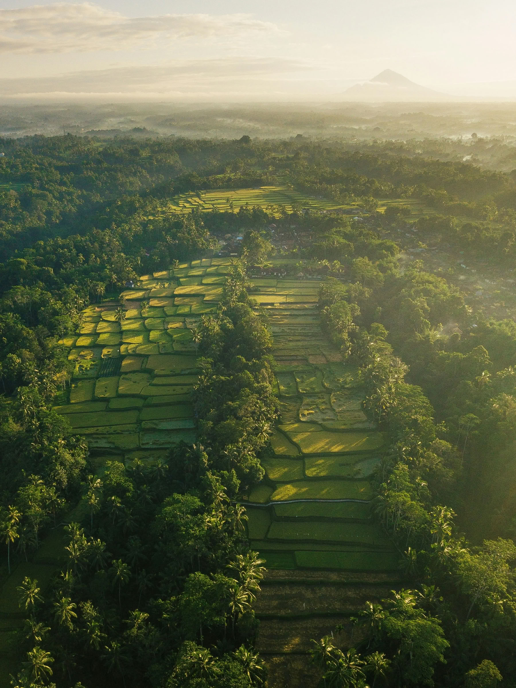 Bali hors des sentiers battus : journée tranquille dans l’Ouest