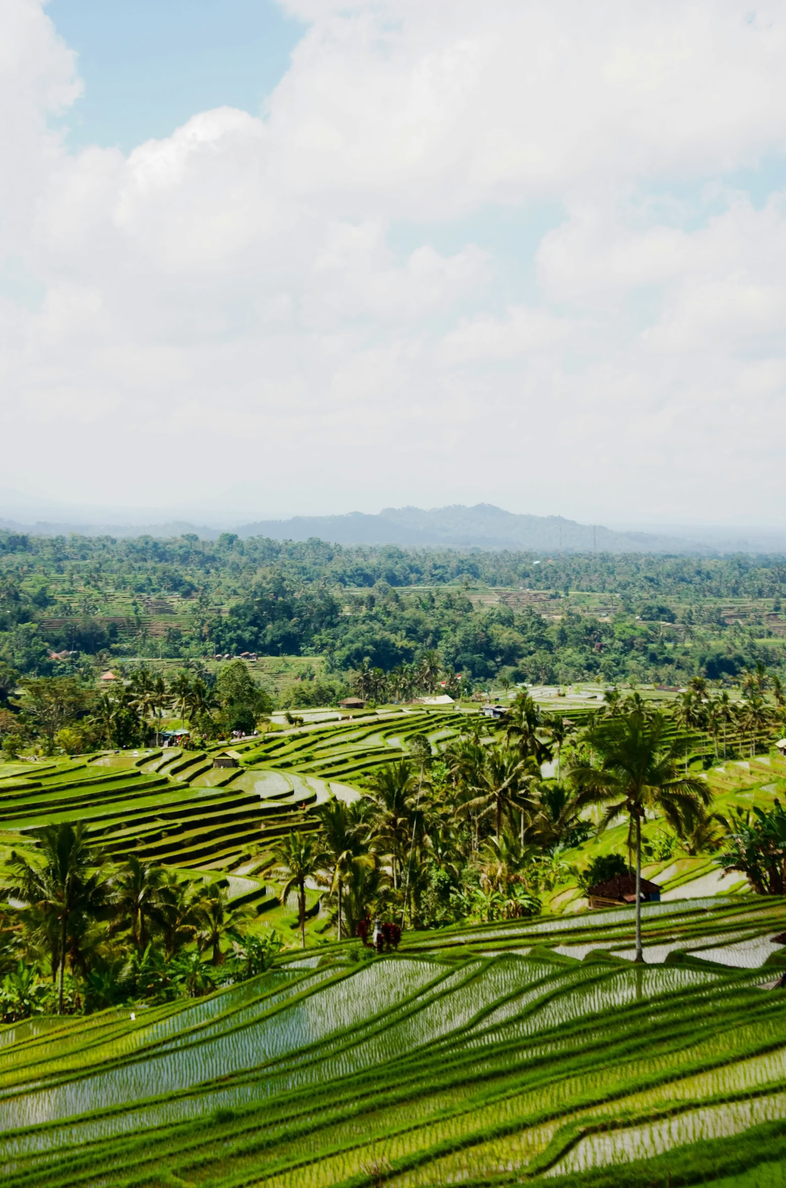 Bali hors des sentiers battus : journée tranquille dans l’Ouest