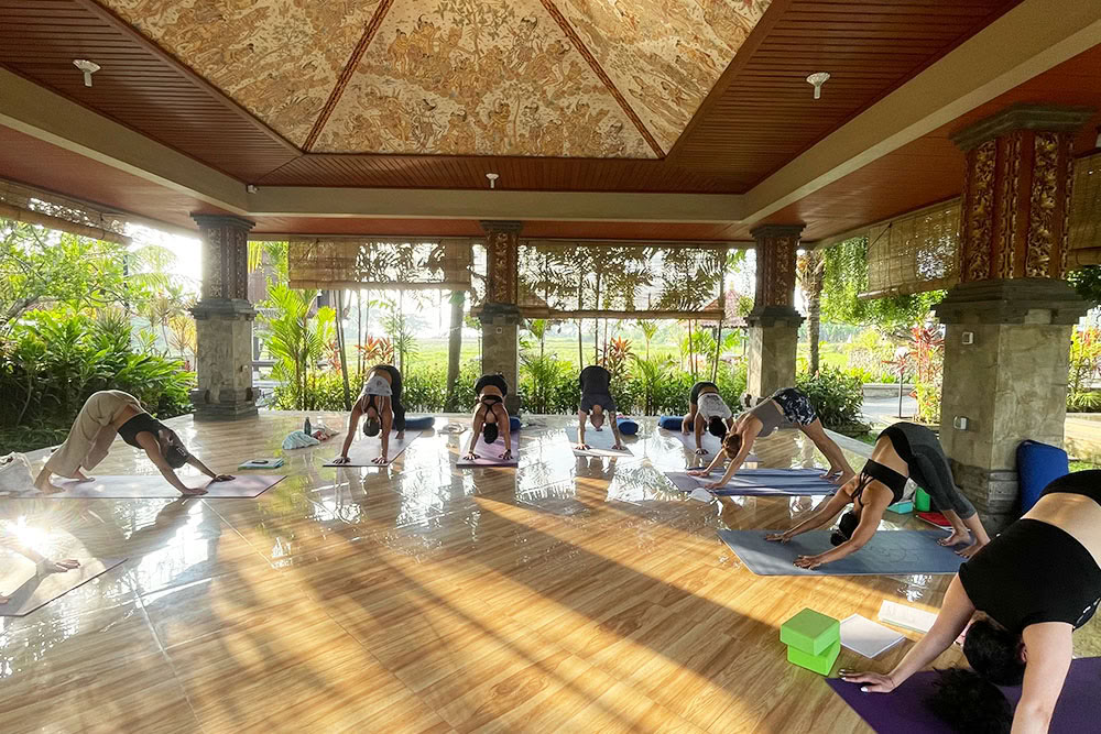 Formation de professeur de yoga Ashtanga Vinyasa de 200 heures à Bali