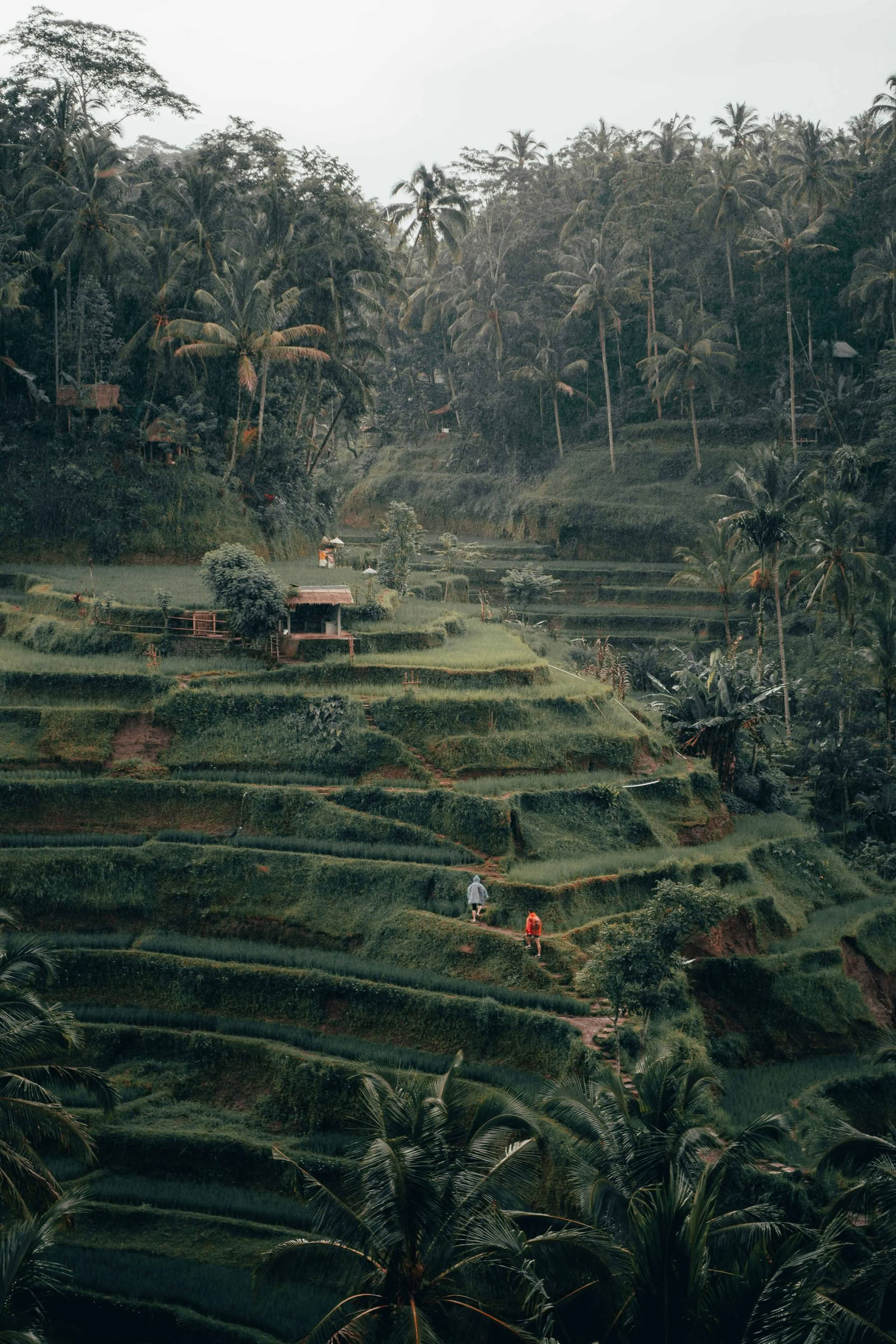 Explorer la campagne de Bali