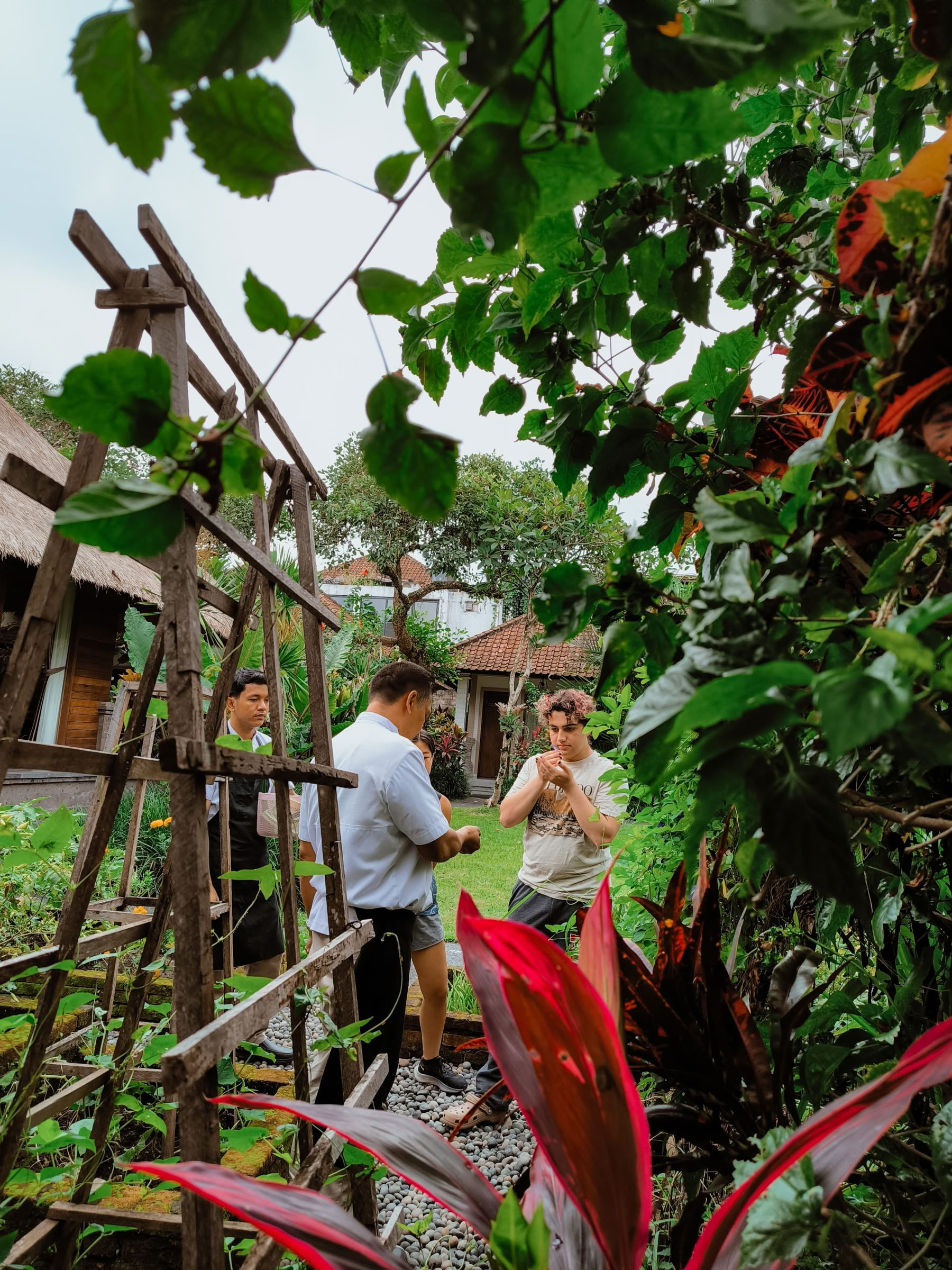 Découvrez les merveilles du nord de Bali