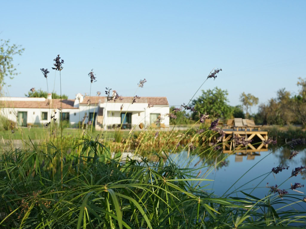 Retraite en Algarve : Trouver votre lumière intérieure