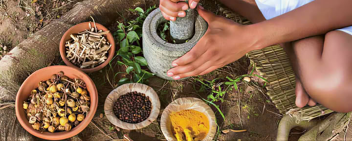 Formation d’enseignant en Ayurveda à Rishikesh