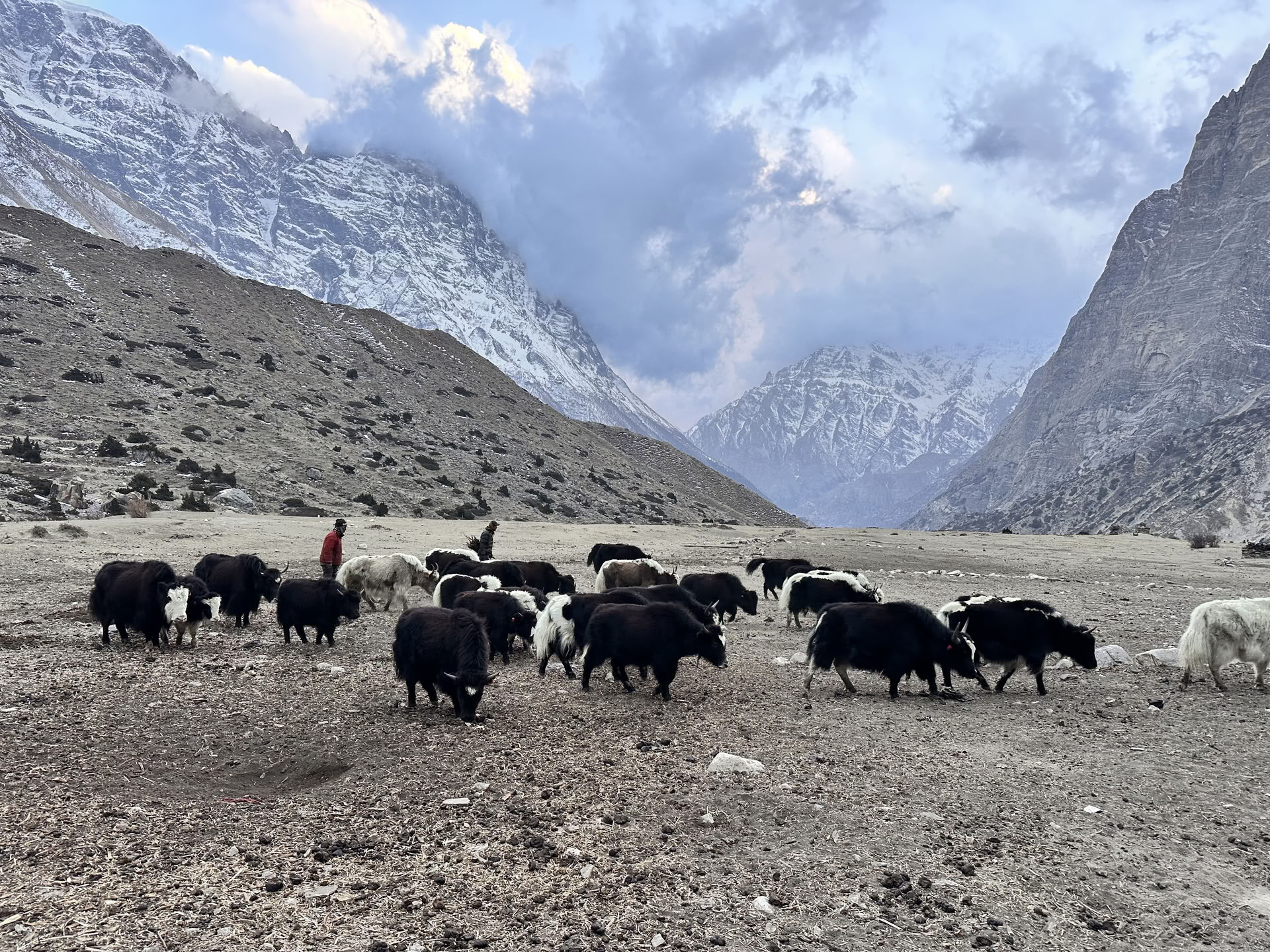 Trek de yoga sur le circuit de l’Annapurna