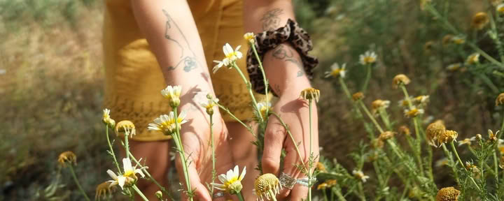 Retraite de confiance — Sonnenhaus Liebenthal
