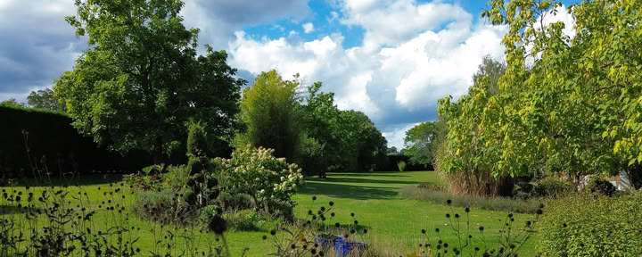 Soin du visage lymphatique Ice Globe