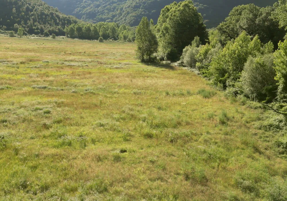 Au-delà du bruit : retraite pour hommes