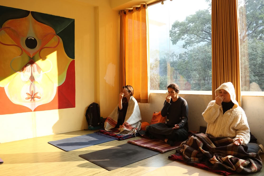 Formation de professeur de yoga de 100 heures à Rishikesh, en Inde