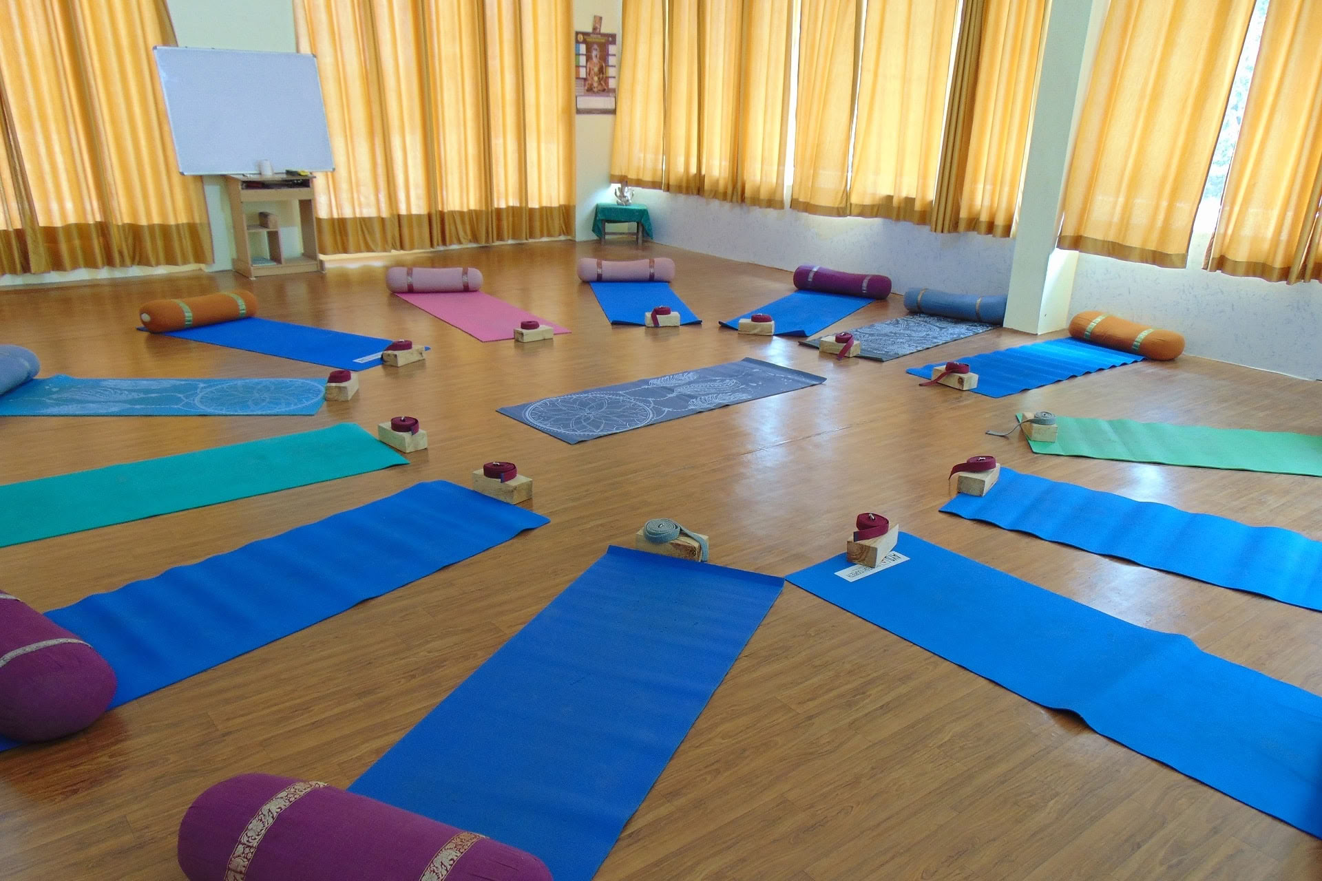 Cours de yoga yin de 6 jours à Rishikesh