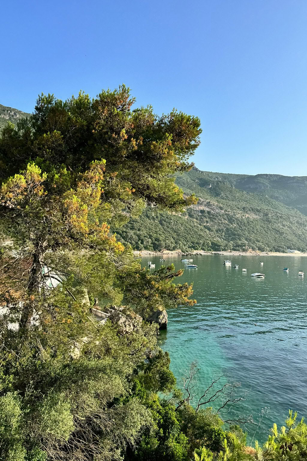 La retraite au Portugal