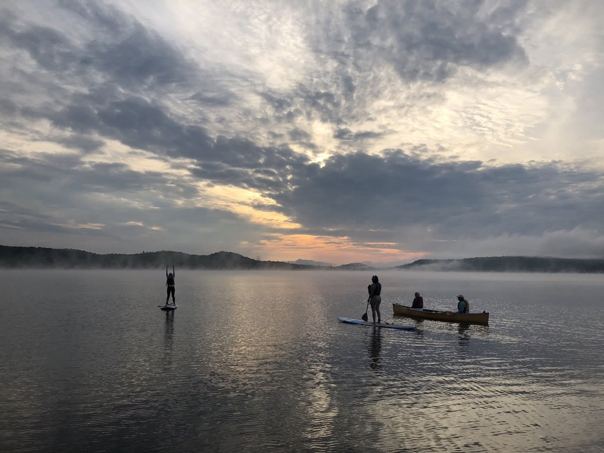 Se connecter au sauvage retraite