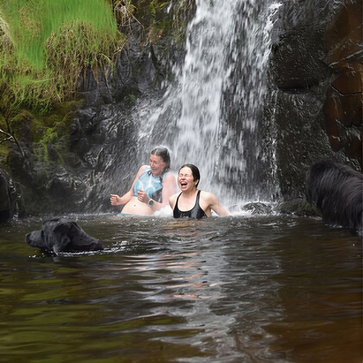 Retraite de nage en eau libre