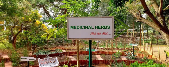 Ayurveda pour les personnes âgées
