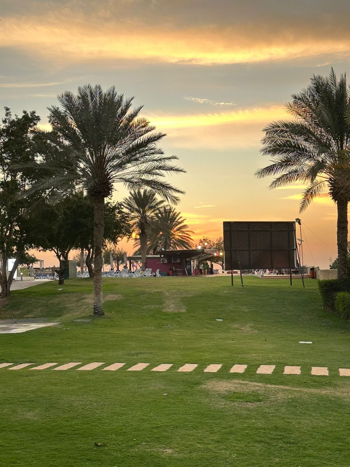 Yoga au coucher du soleil au parc de la mangrove de Jubail