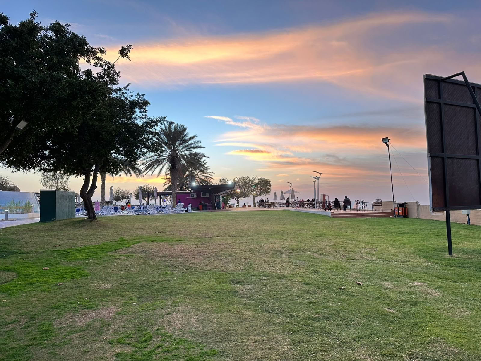 Yoga au coucher du soleil au parc de la mangrove de Jubail