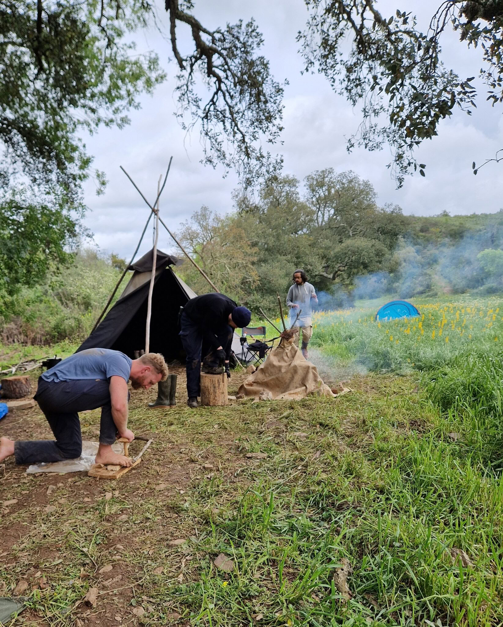 Survie essentielle en milieu sauvage