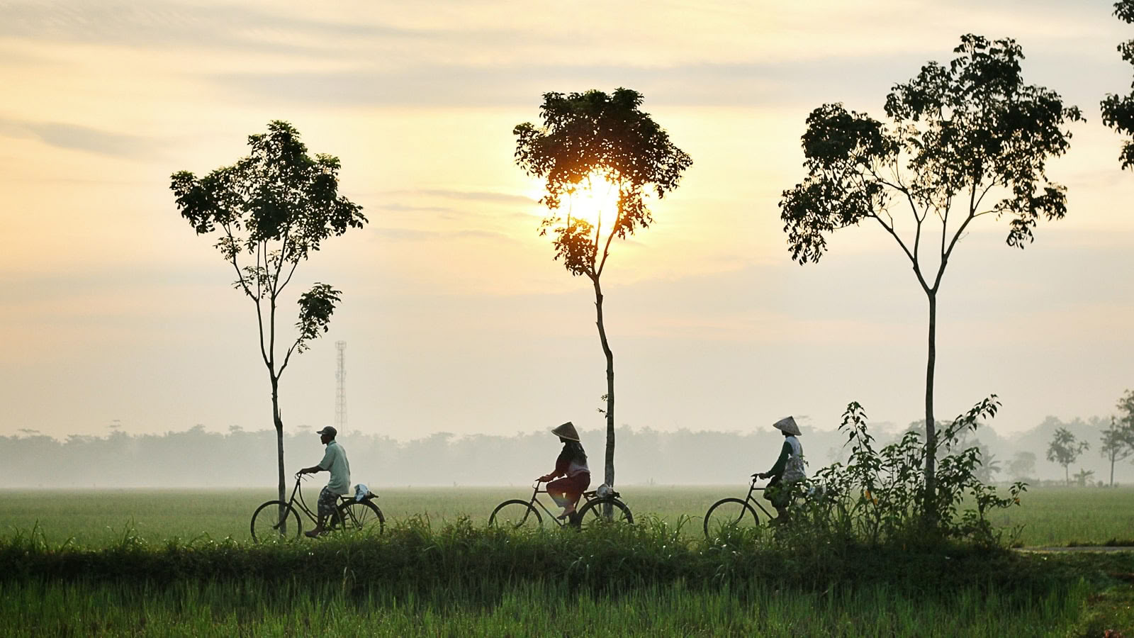 Retraite de yoga enrichissante et randonnée au Vietnam 2026