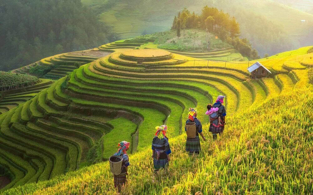 Retraite de yoga enrichissante et randonnée au Vietnam 2026