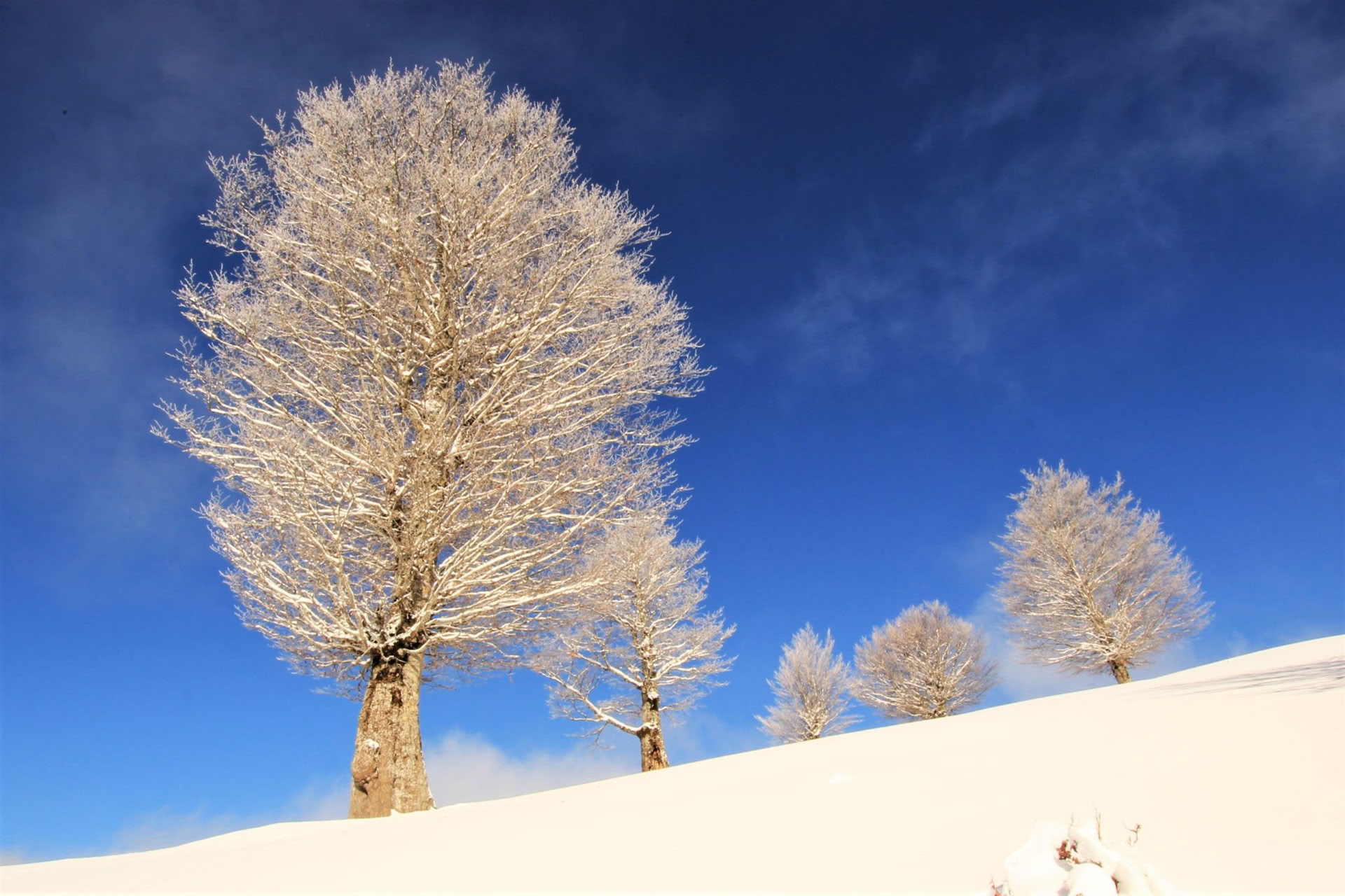 Séjour de 7 jours d’activités hivernales au Monténégro