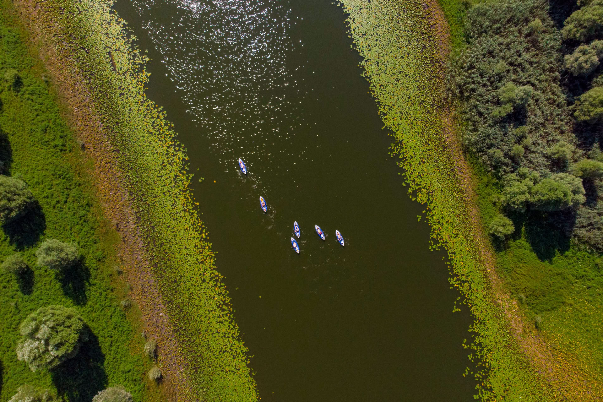 Séjour de kayak de 7 jours, lac Skadar