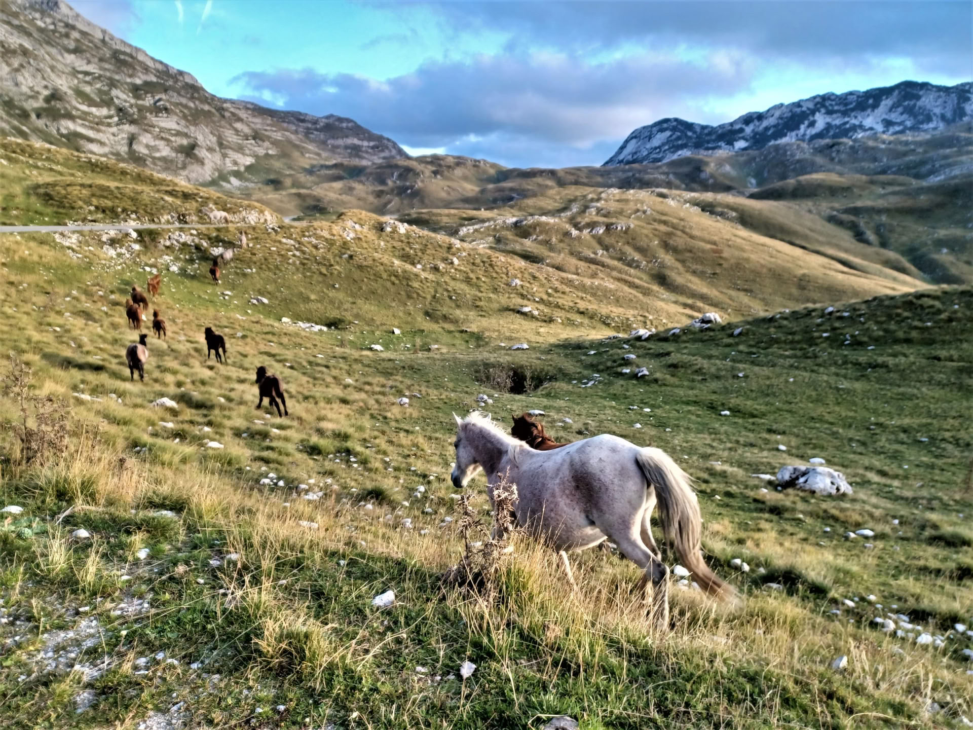 Séjour de randonnée en montagne de 7 jours au Monténégro