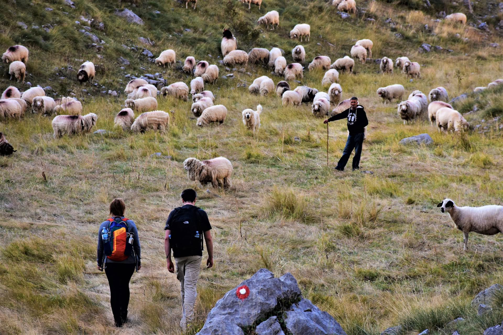 Séjour de randonnée en montagne de 7 jours au Monténégro