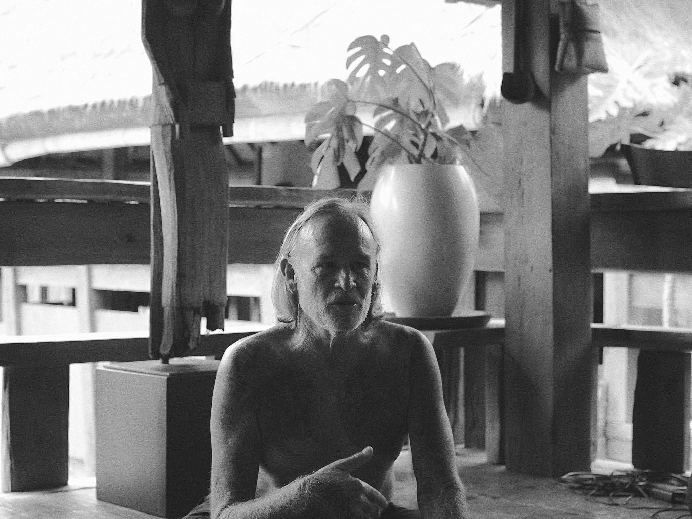 Mick Barnes - Les 8 membres du hatha yoga