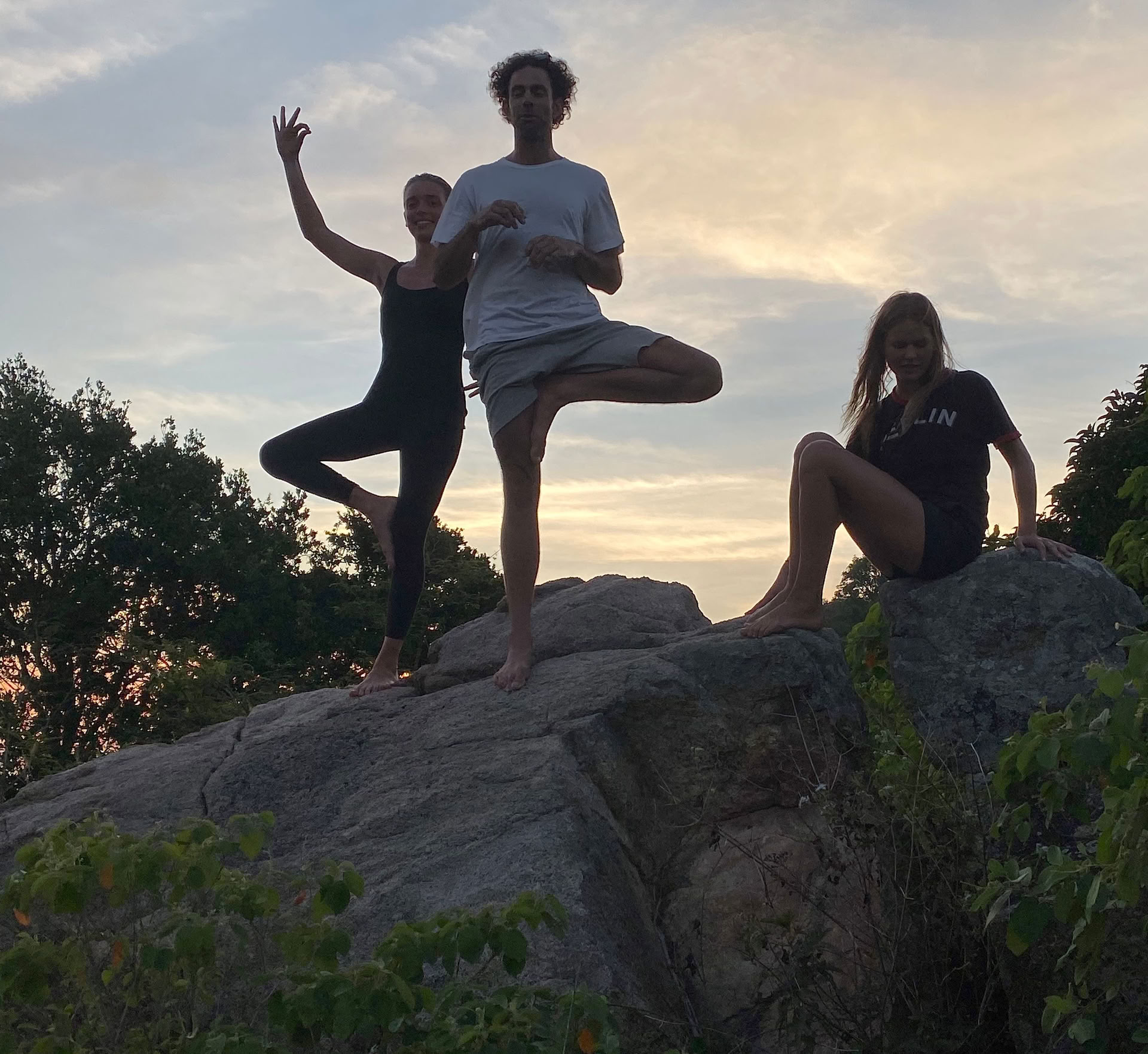 Mick Barnes - Les 8 membres du hatha yoga