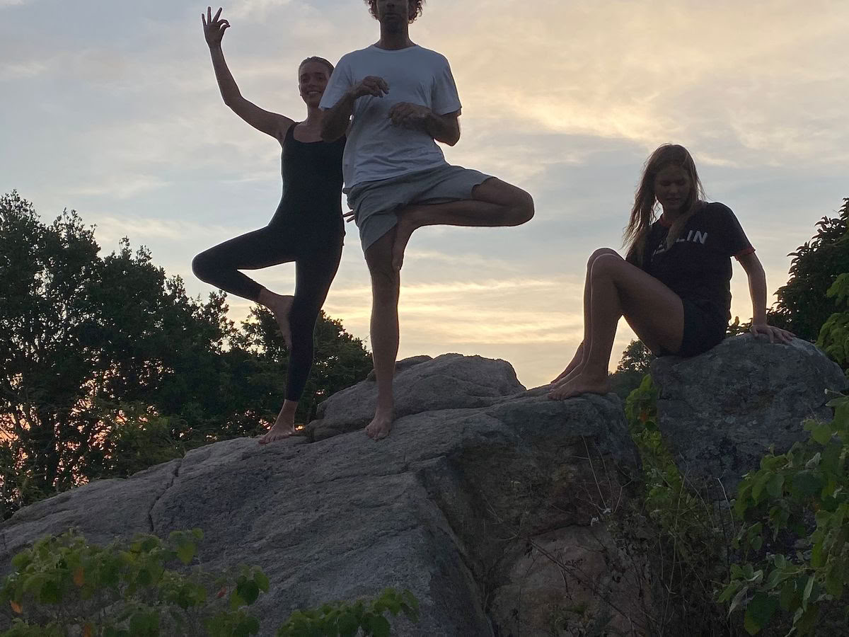 Mick Barnes - Les 8 membres du hatha yoga