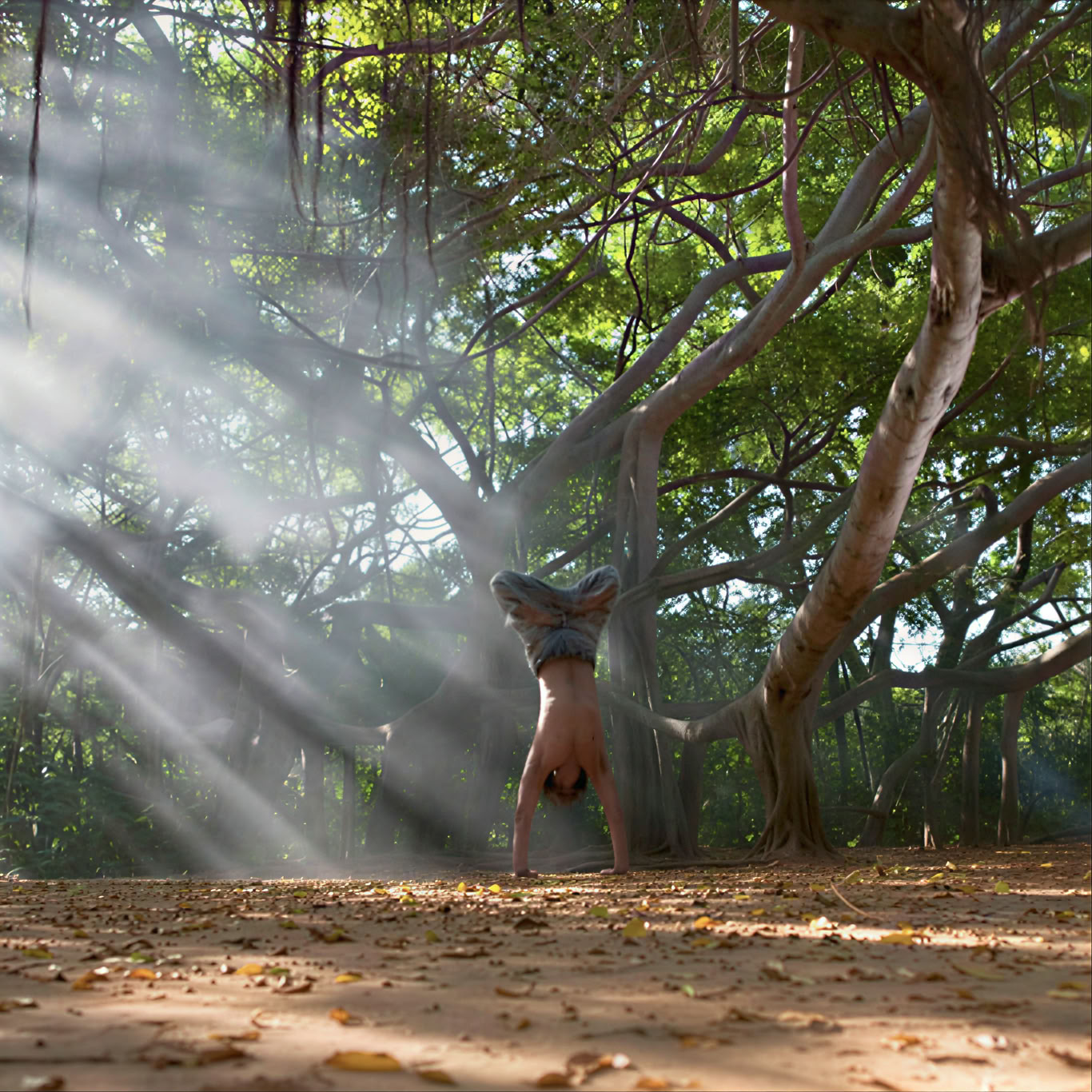 Mick Barnes - Les 8 membres du hatha yoga
