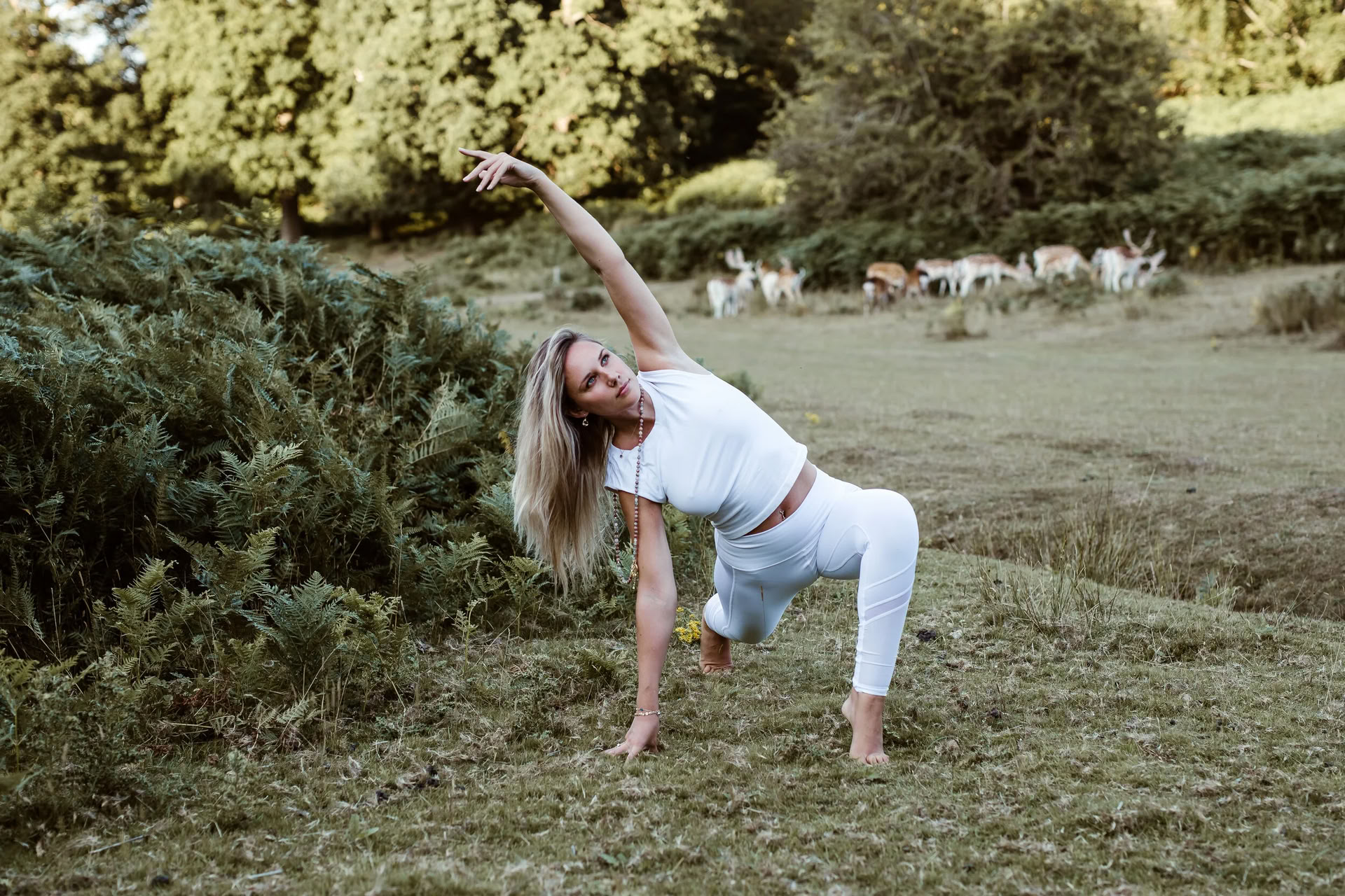 Vinyasa Flow + Yin Yoga (Tous niveaux)