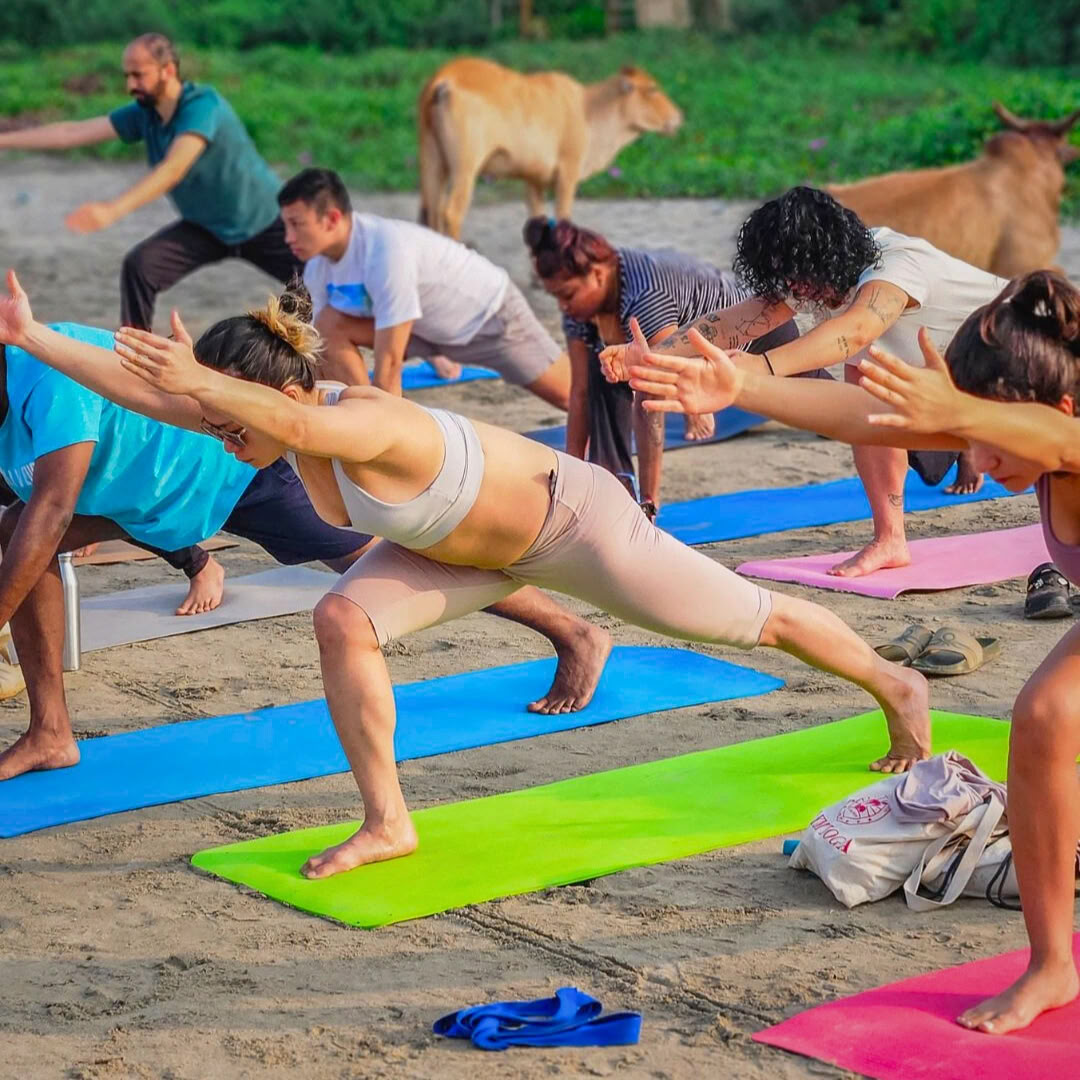 Formation de professeur de yoga de 200 heures à Goa