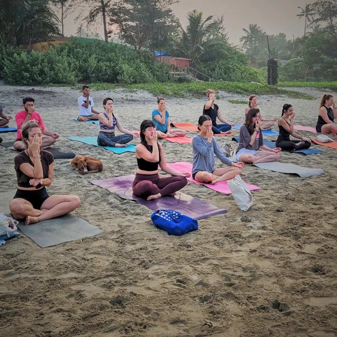 Formation de professeur de yoga de 200 heures à Goa