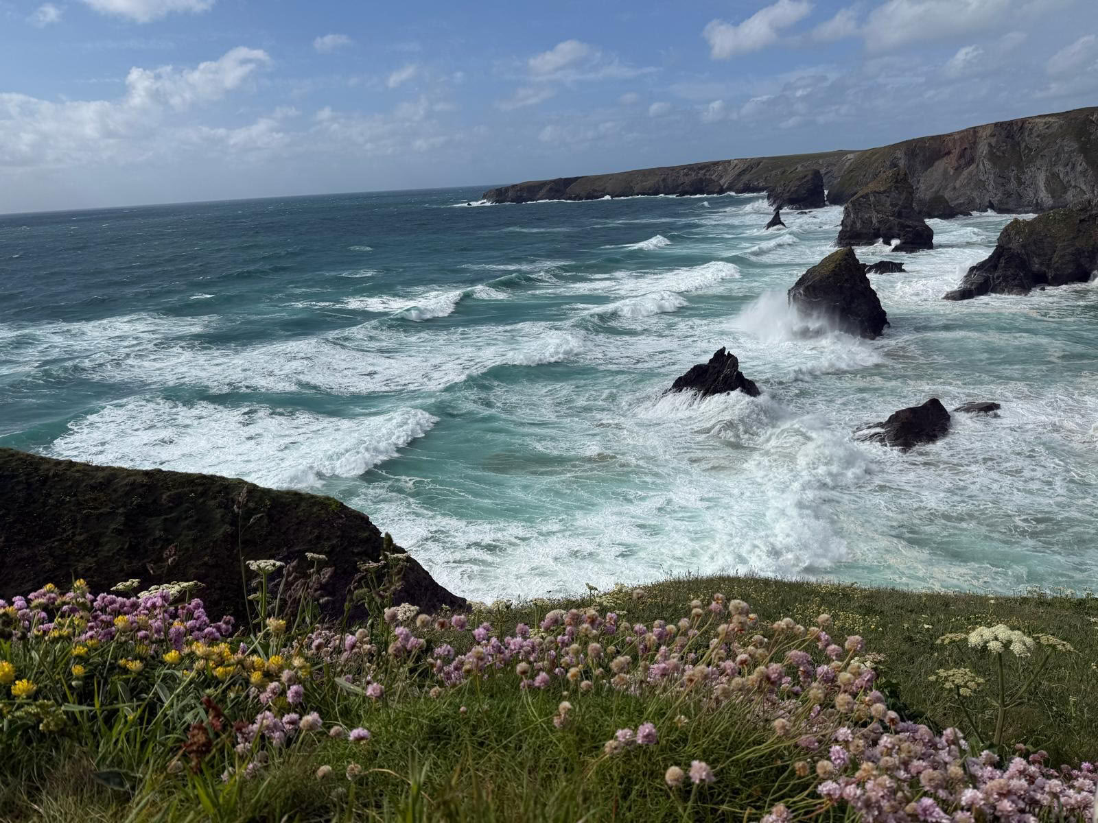 Promenade guidée à Constantine Bay