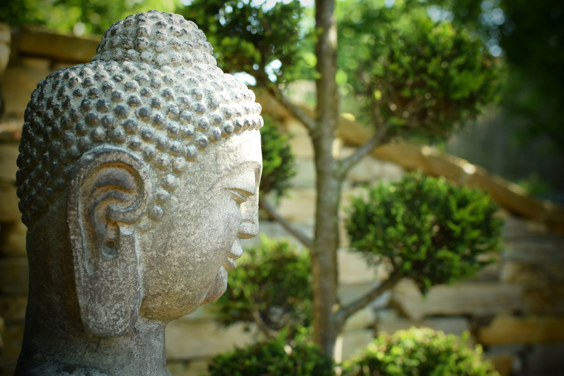 Vipassana (méditation de la pleine conscience)