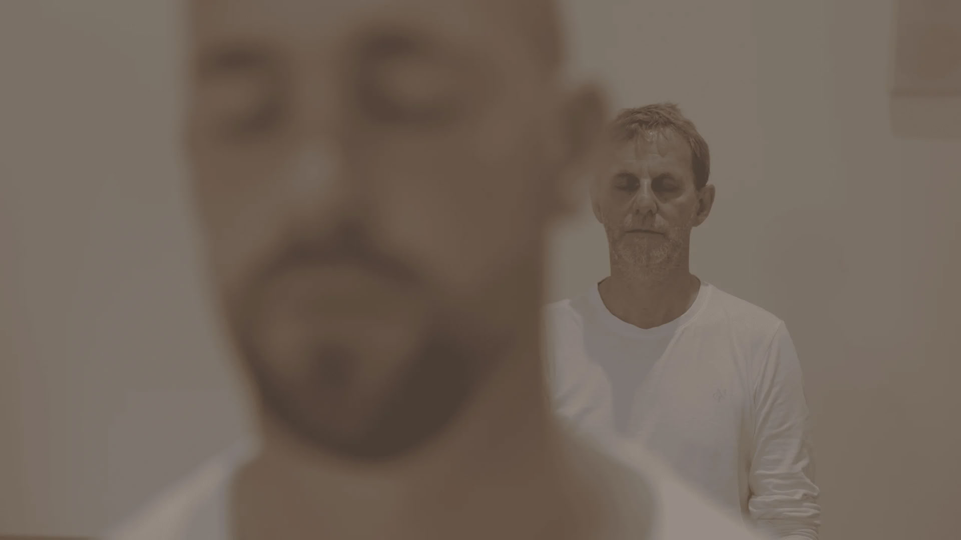 Vipassana (méditation de la pleine conscience)