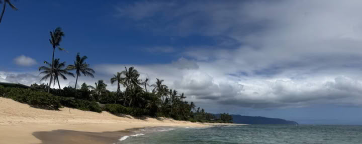 Forfait de retraite de yoga pour non-surfeurs