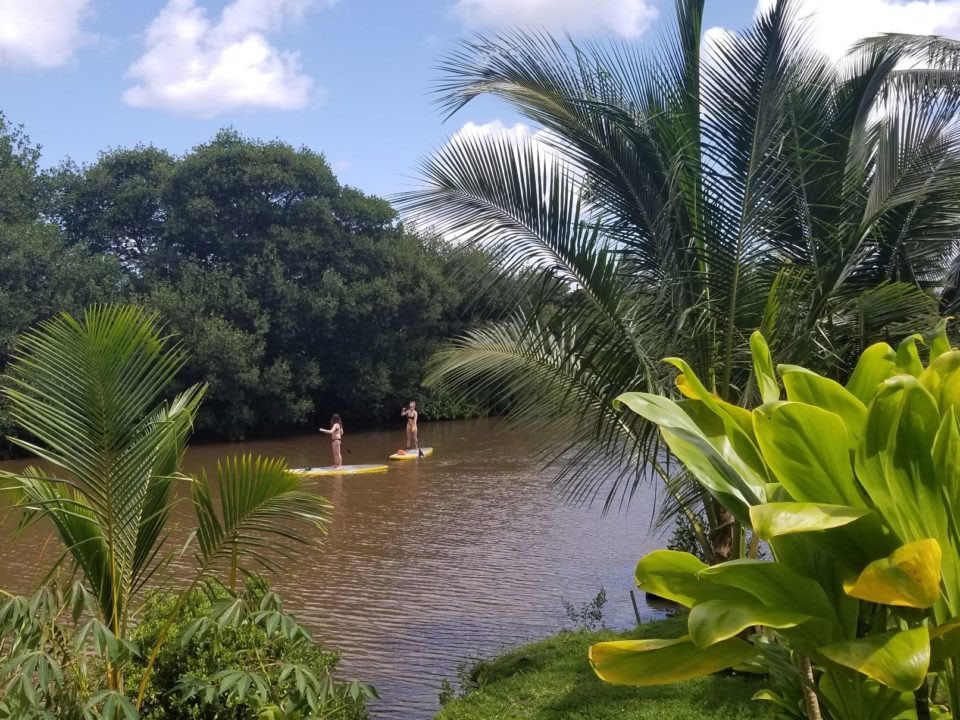 Cours de SUP semi-privés