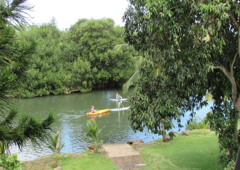Cours de SUP semi-privés