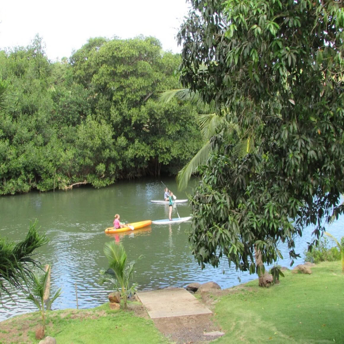 Cours de SUP semi-privés