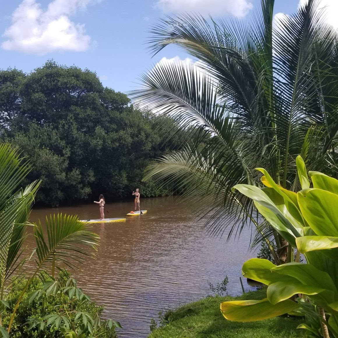 Cours de SUP semi-privés
