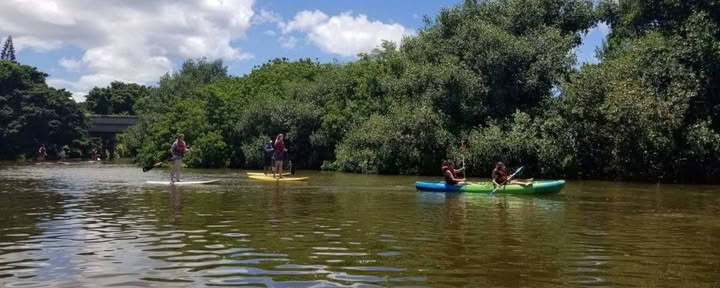 Cours de SUP semi-privés